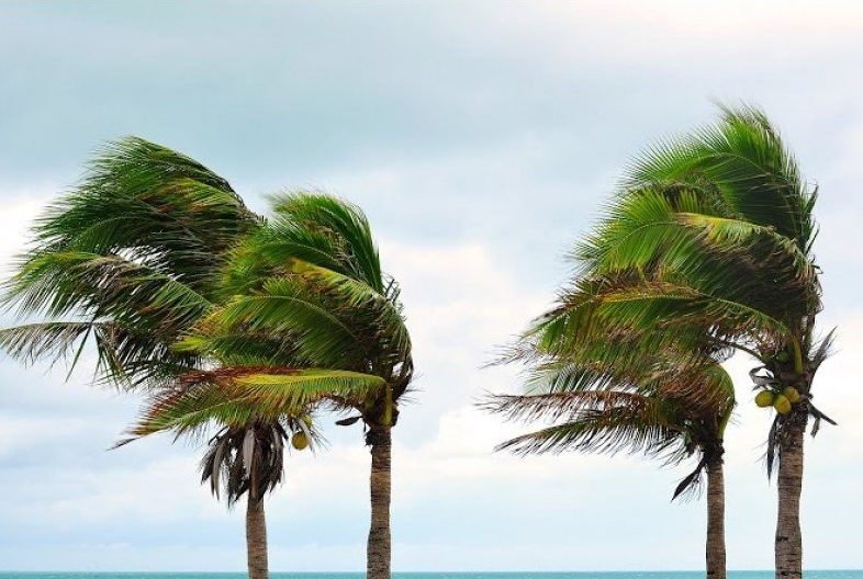 wind-service-residential-property-miami-fl.